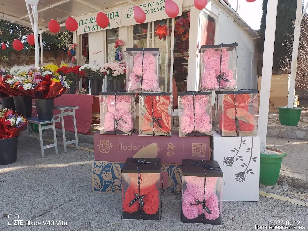 FLORISTERÍA CYNTHIA