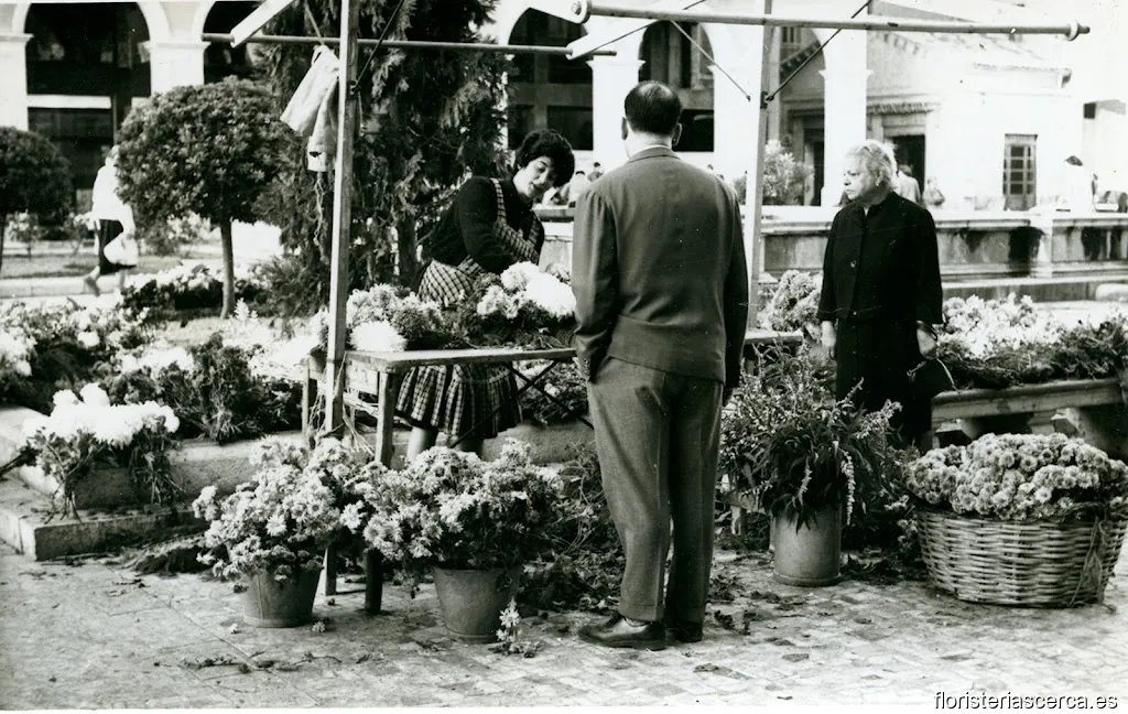 Paquita Flors i Plantes