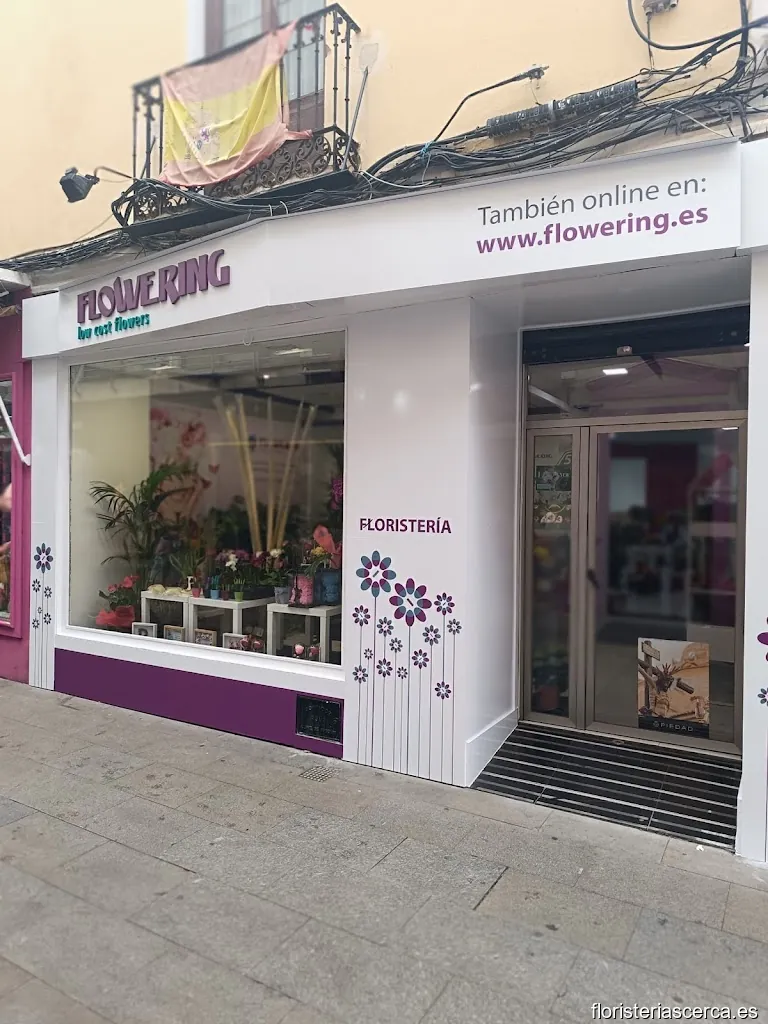 FLOWERING 𝐅𝐥𝐨𝐫𝐢𝐬𝐭𝐞𝐫í𝐚. Enviar flores a domicilio a Ciudad Real