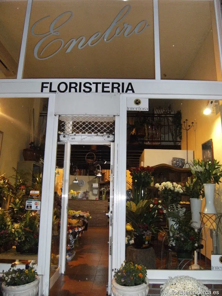 Floristería ENEBRO