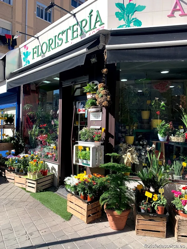 Anlloan Floristería