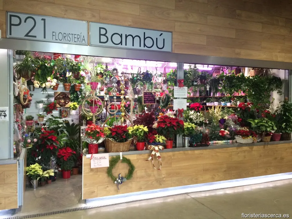 Bambú Floristería Sevilla