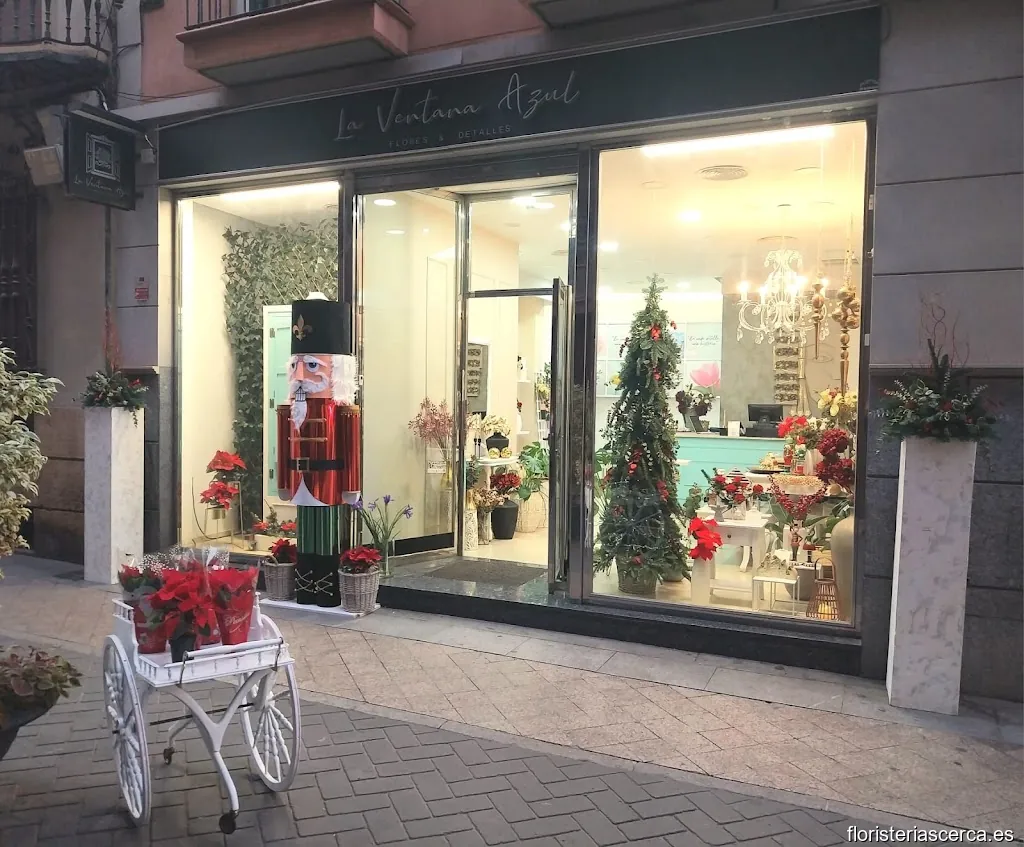 Floristería La Ventana Azul