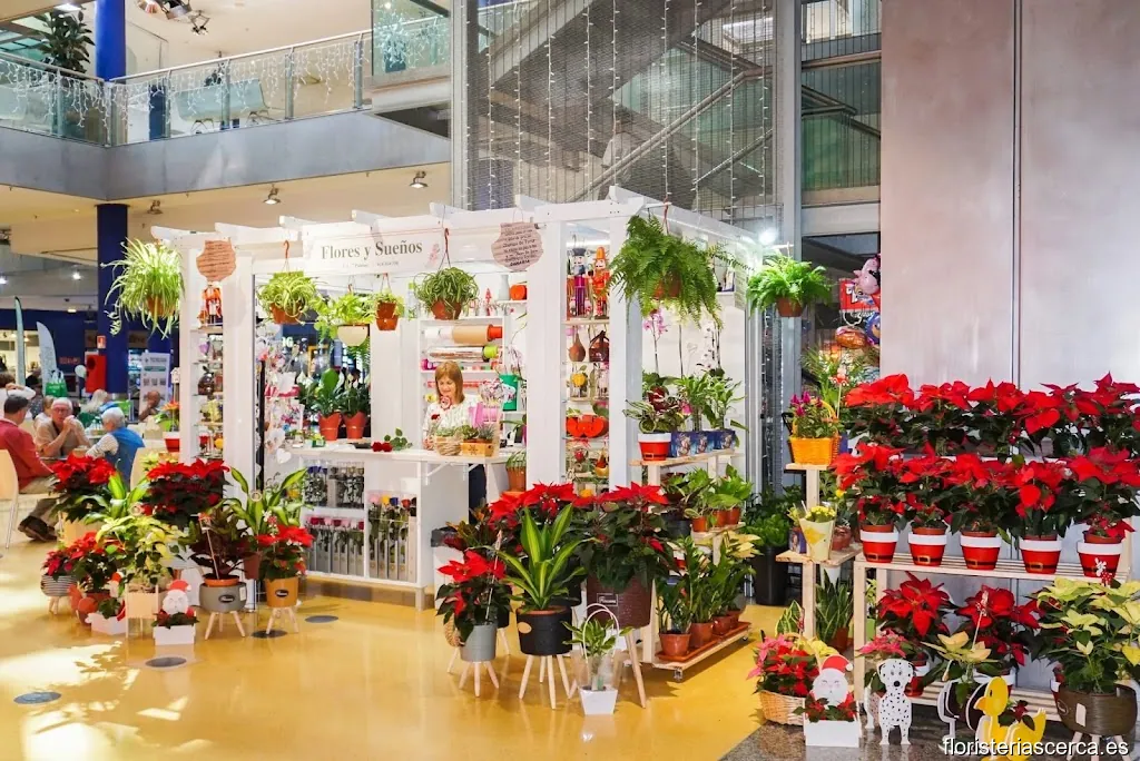 Floristería Flores y Sueños