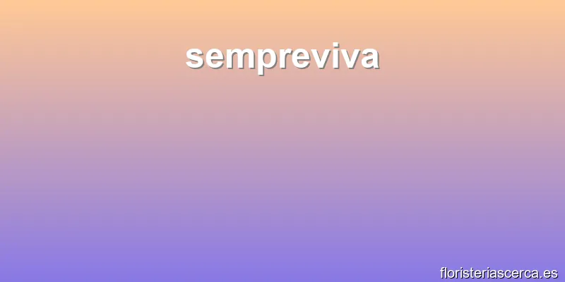 sempreviva