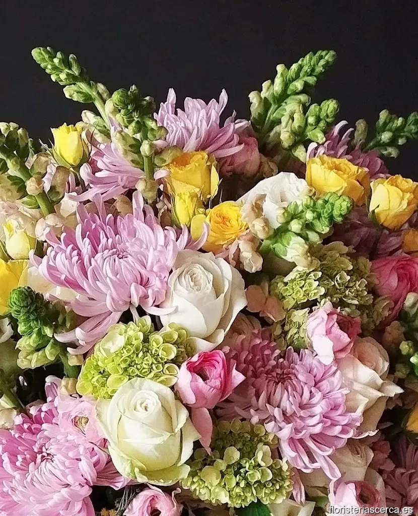 BIMINI Flowers Benidorm