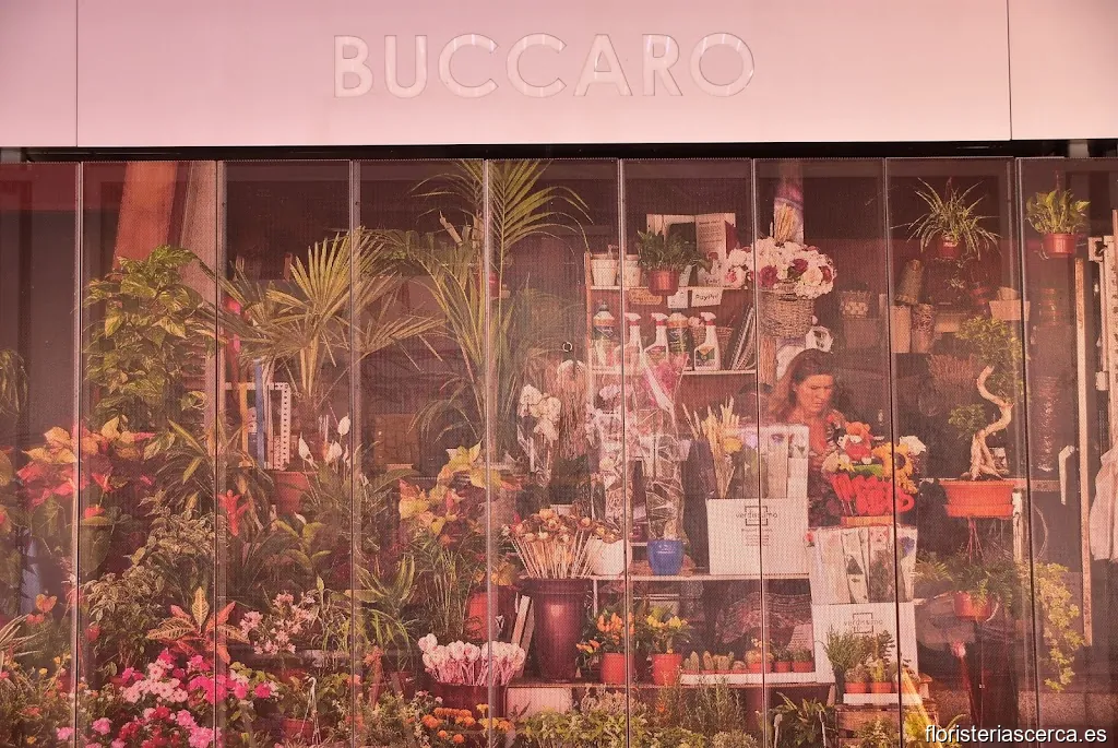 Floristeria Buccaro Alicante