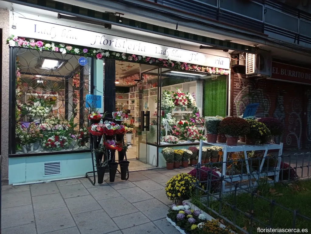 LADYBLUE FLORISTERÍA