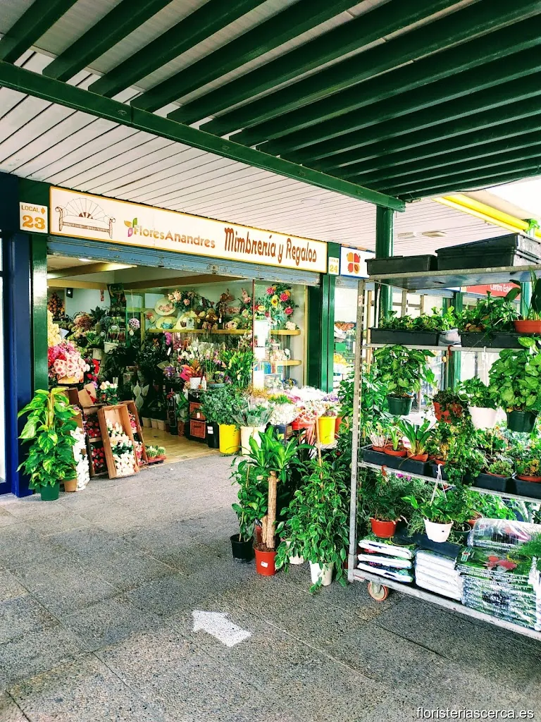 FLORISTERIAJEREZ
