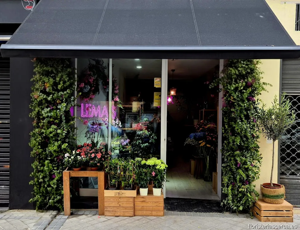 Floristería LEMAIS