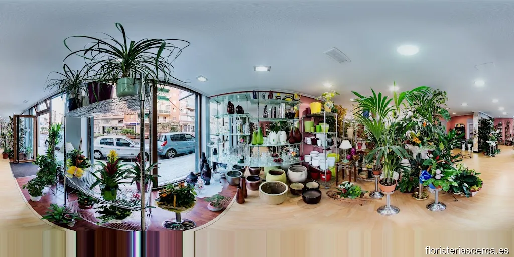 Floristeria La Flor de Lis Palencia