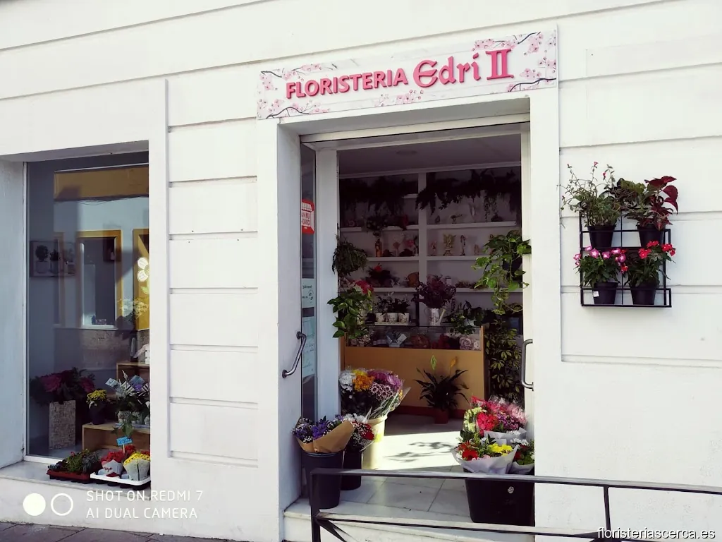 Floristería edri 2