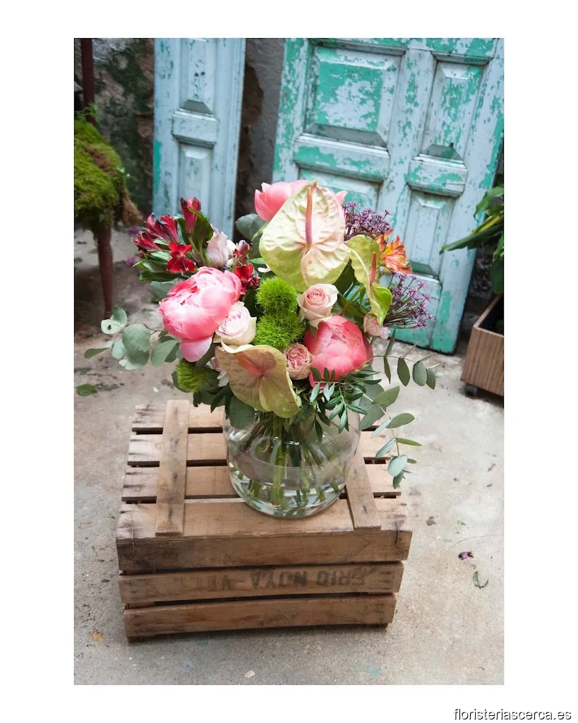 DamaJuana - Greens&Beans