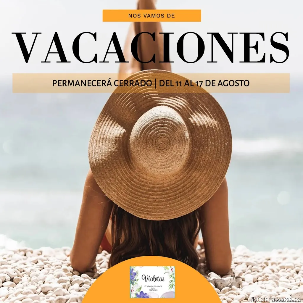 Floristeria Violetas