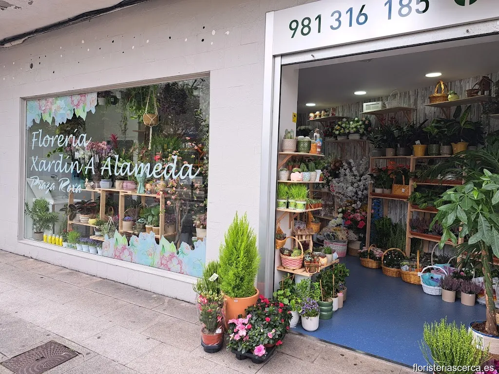 Floreria Xardin A Alameda Plaza Roxa