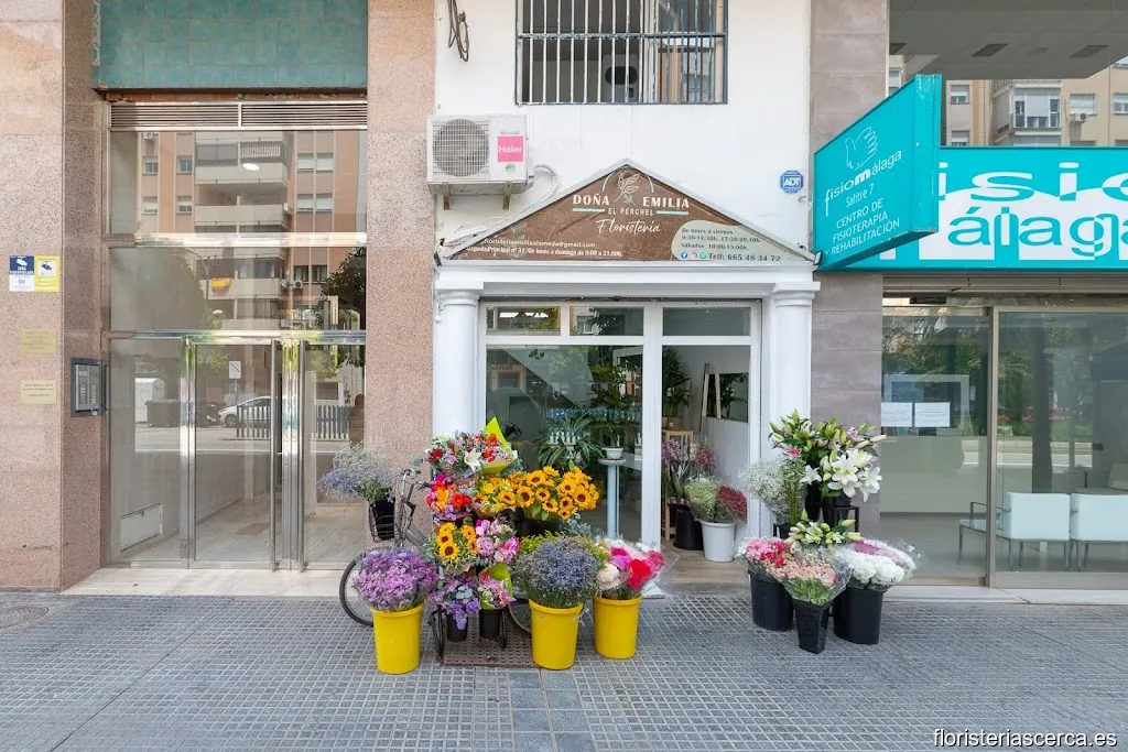 Floristería Emilia El Perchel