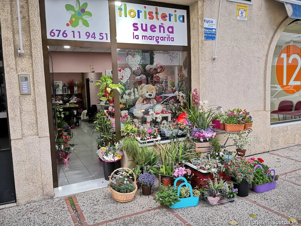 Floristería Sueña la margarita
