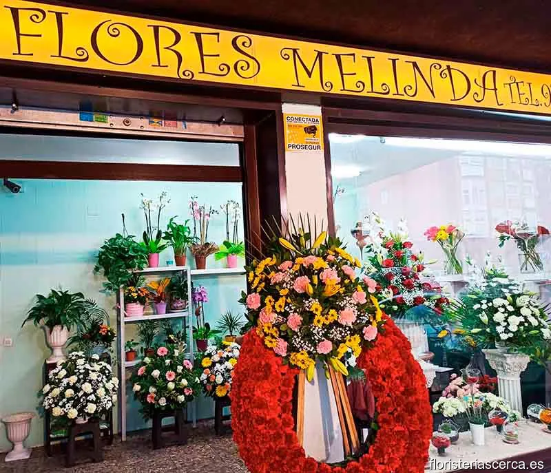 Flores Melinda S.L.