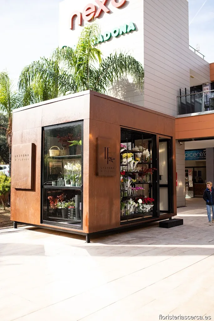 Ladrona de Flores Next Shopping