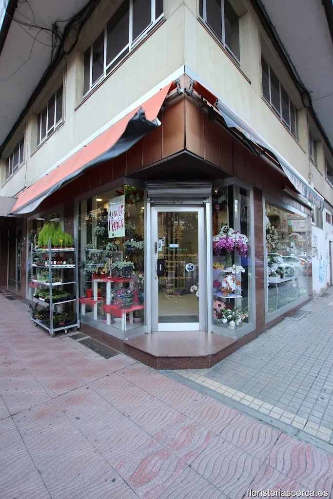 Floristería La Aurora