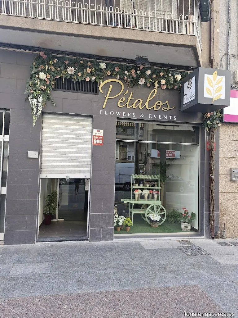Pétalos Flowers and Events