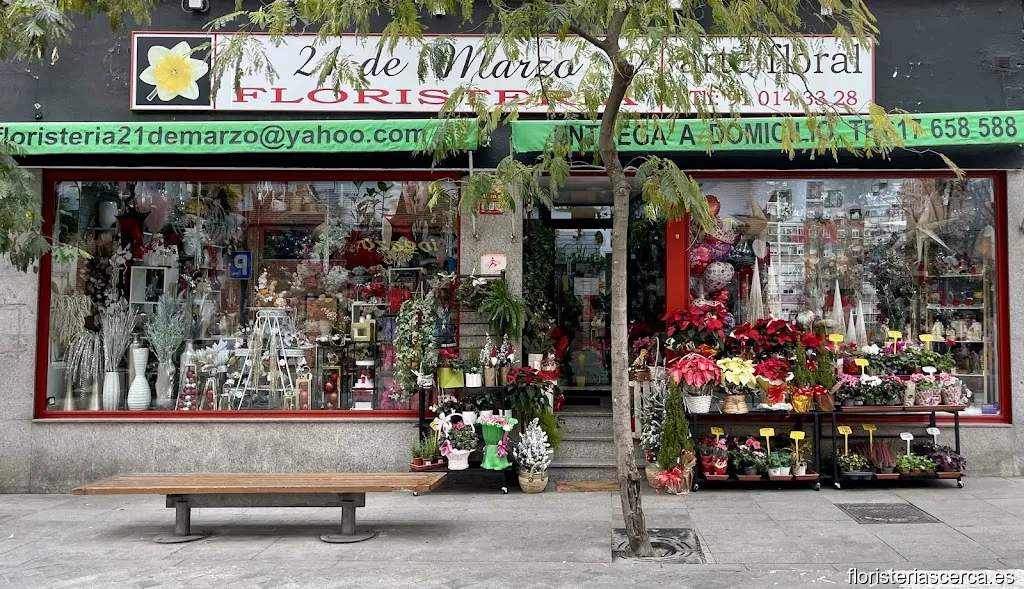 Floristeria 21 De Marzo