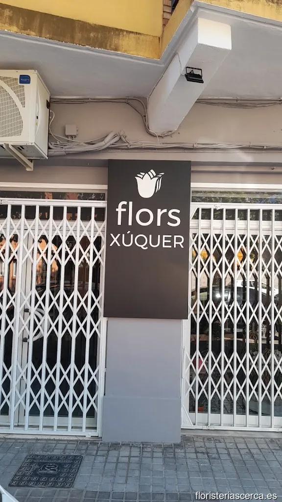 FLORS XÚQUER