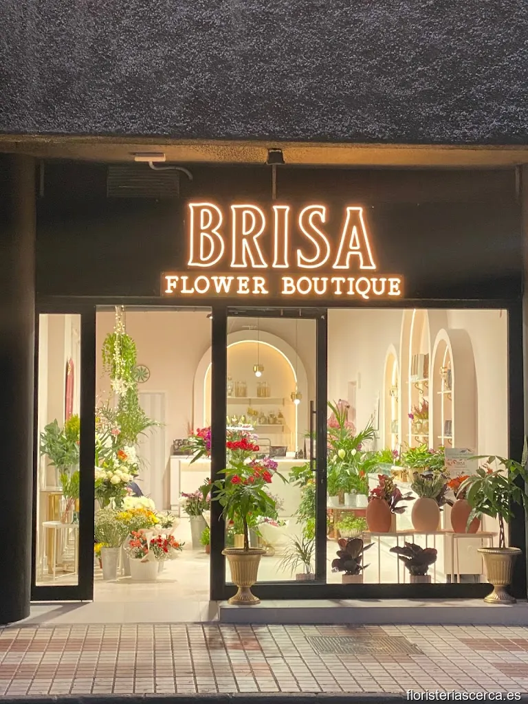 Floristería Brisa Flower Boutique