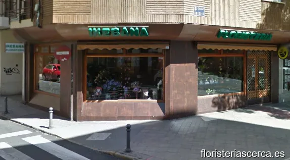 IKEBANA FLORISTERÍA