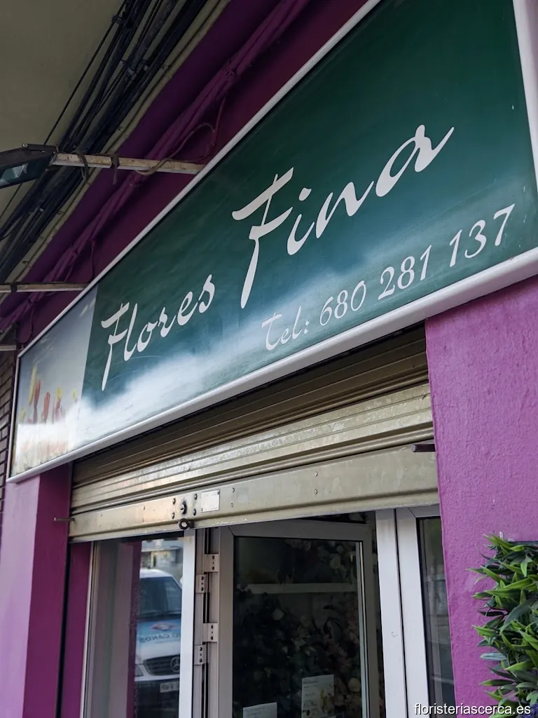 Flores Fina