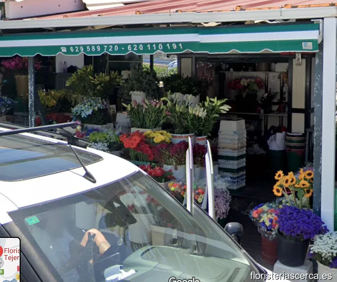 Floristería Hermanos Tejera Díaz