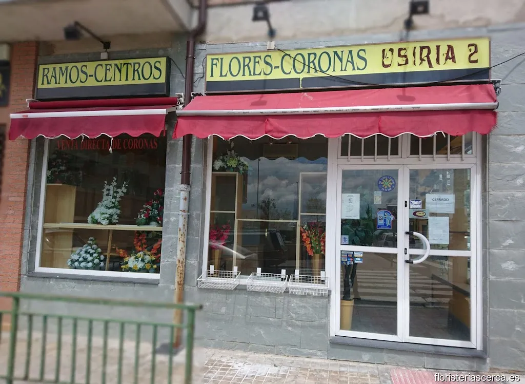 Floristería Osiria 2