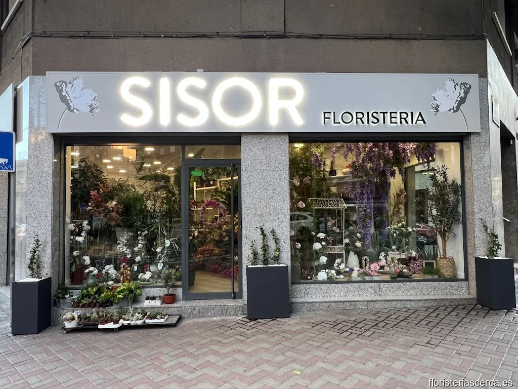 FLORISTERIA SISOR