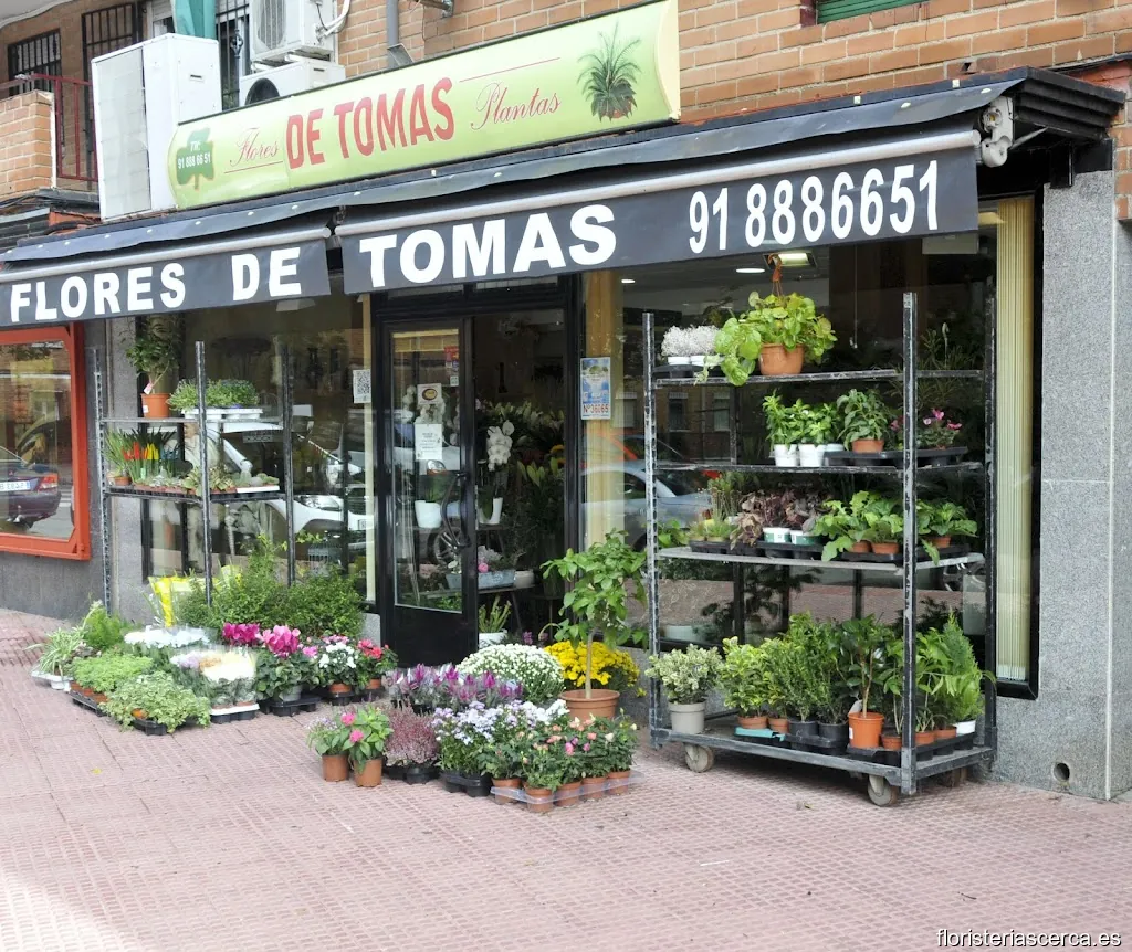 Floristería De Tomás