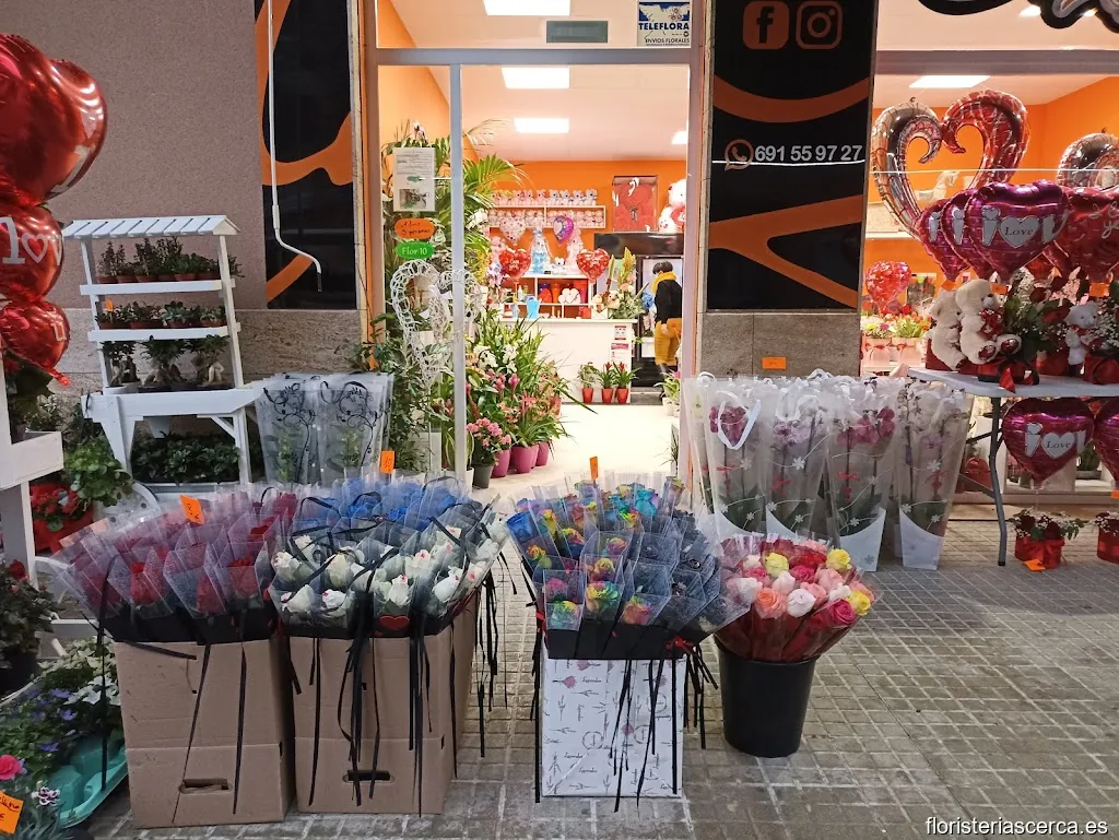 Floristería Calaflors Floristas