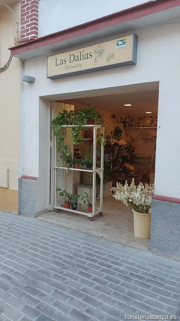Floristeria Las Dalias