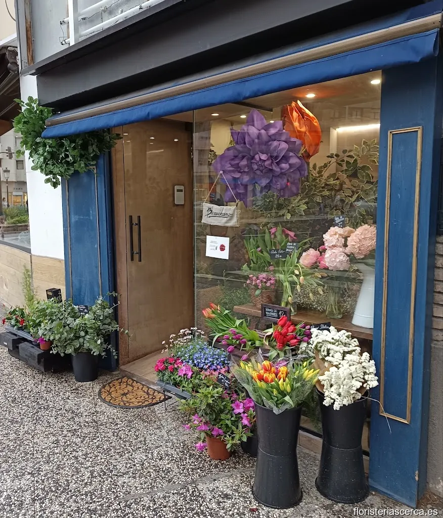 Beauchamp | Floristería Zaragoza