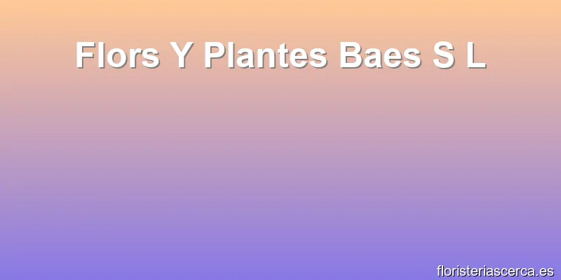 Flors Y Plantes Baes S L