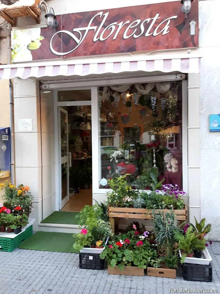 Floresta: Nueva Ilusion