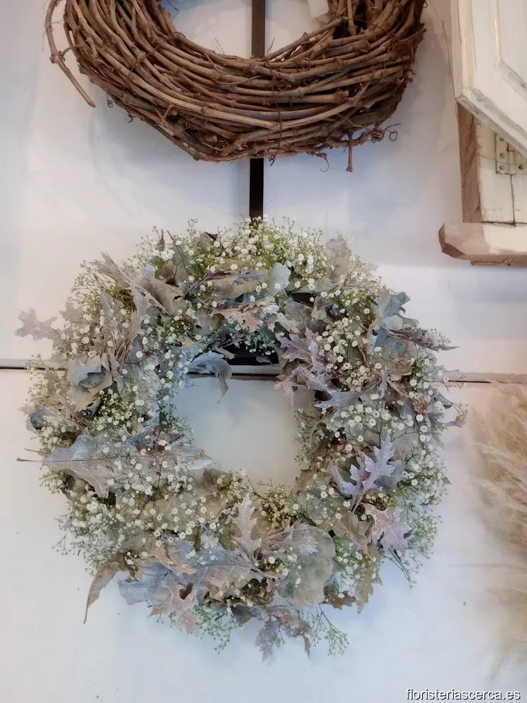 Carolina León Florista