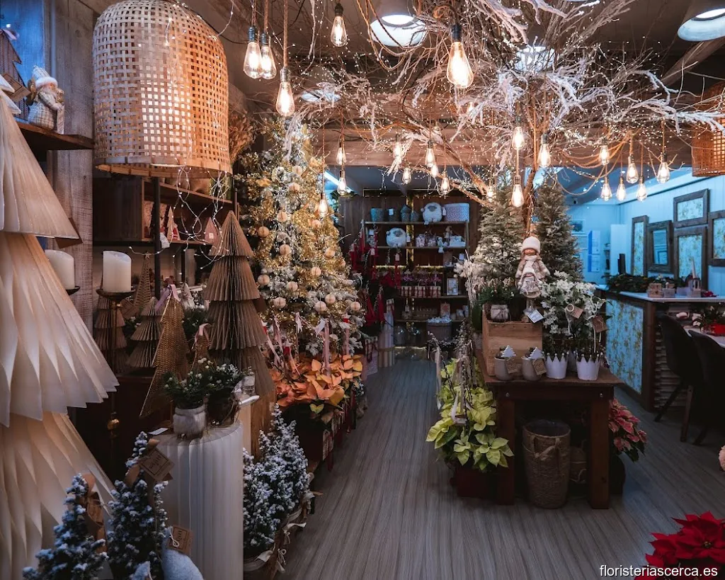 Floristería Santi ( David de Sant)