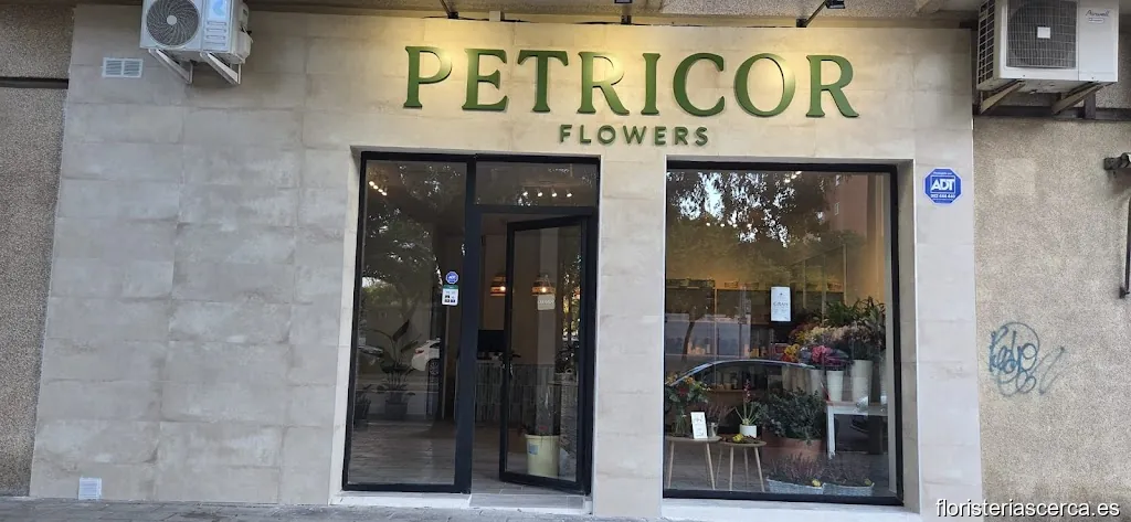 Petricor Flowers - Floristería en Alicante - Envío a Domicilio