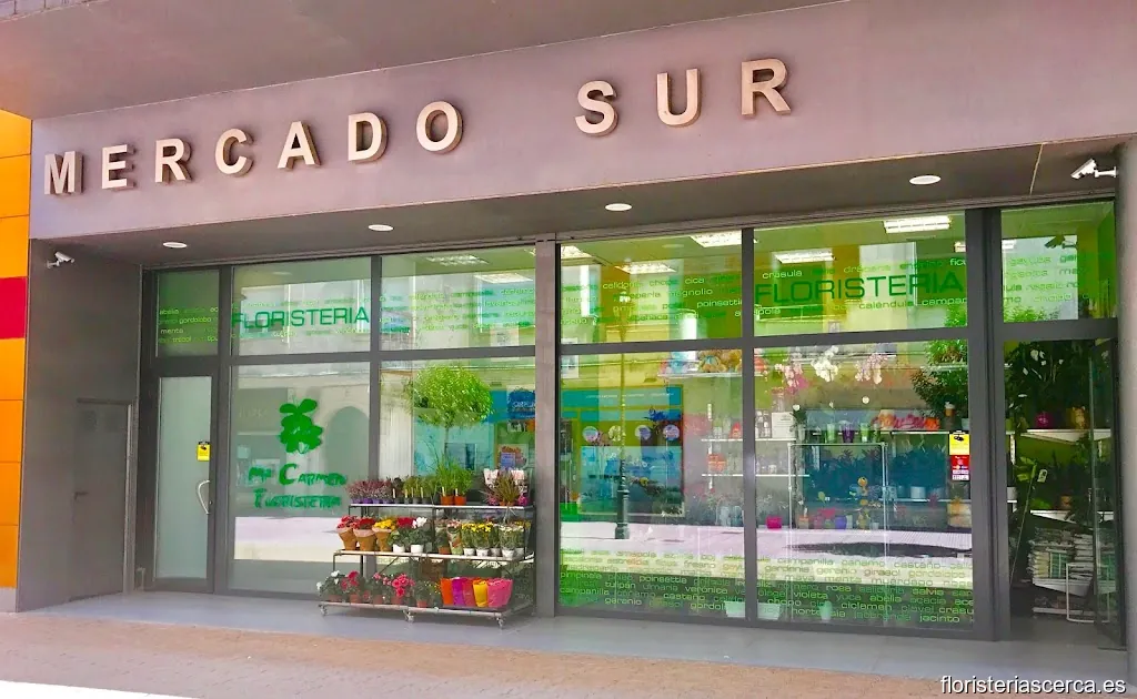 Floristería Mª Carmen