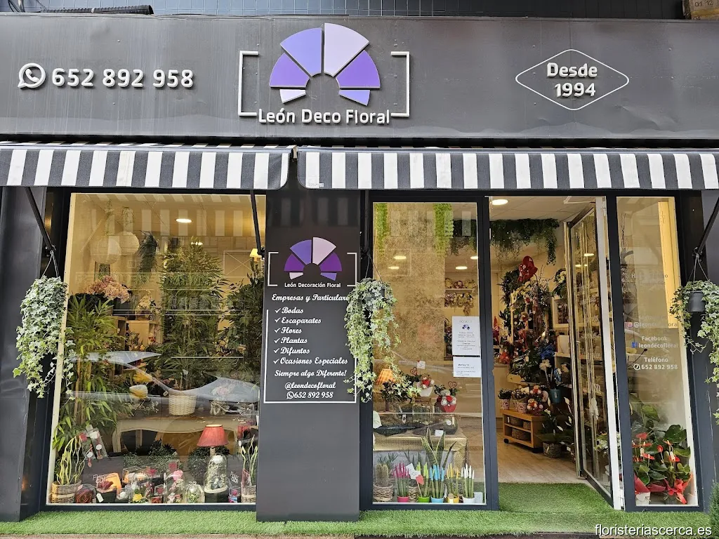 León Deco Floral España