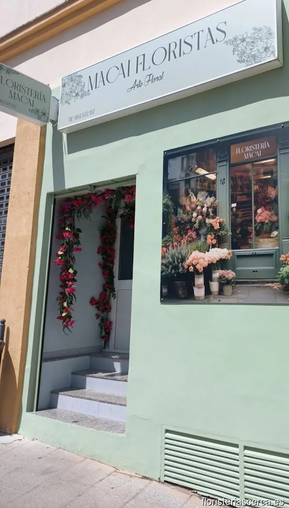Macai Floristas