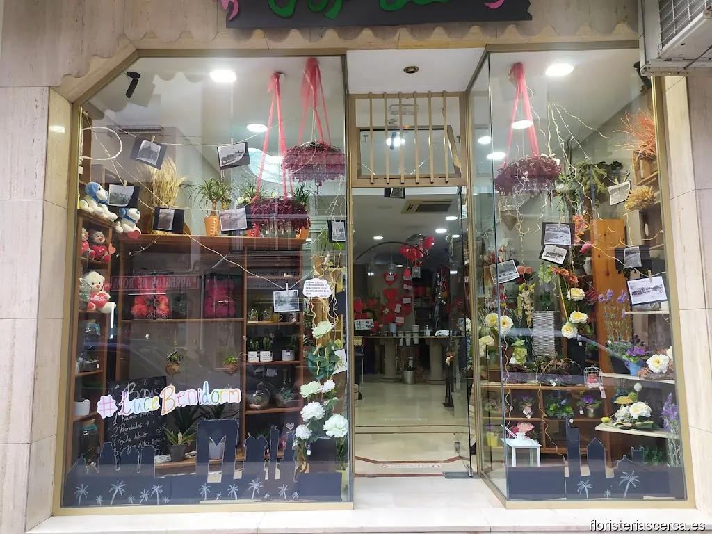 Floristeria Mar - La Orquidea Phanalopsis