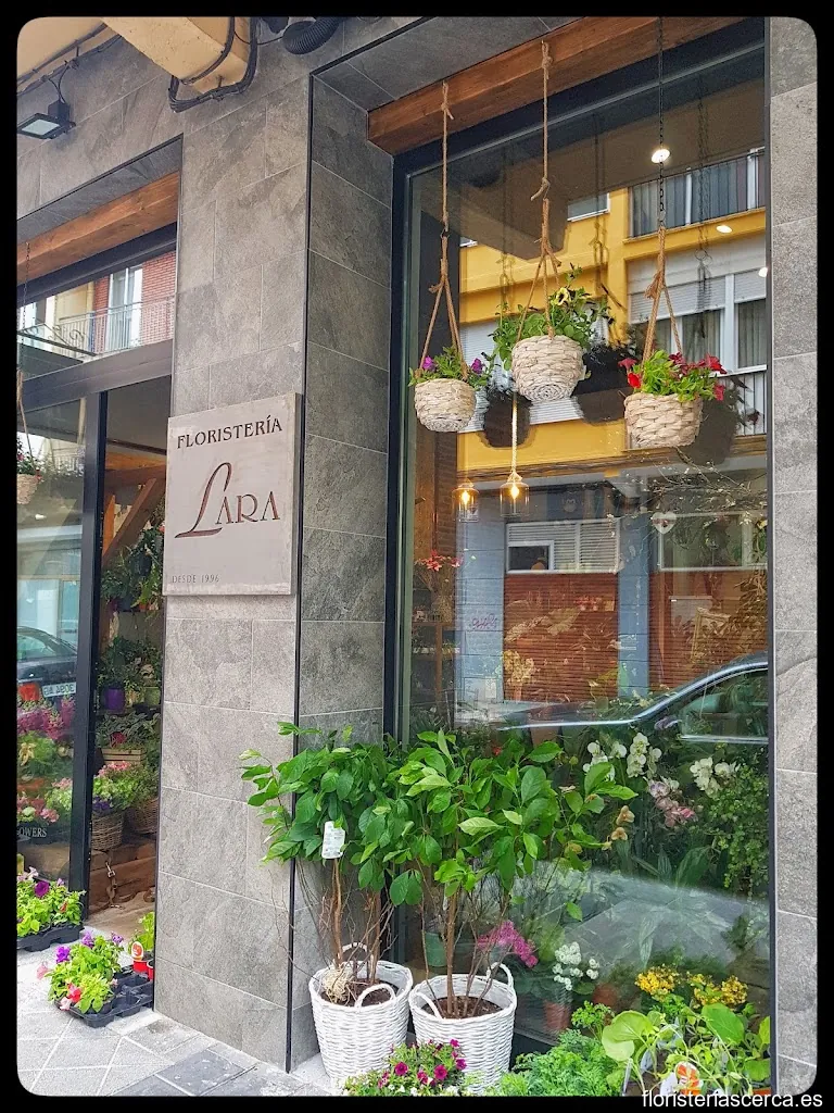 Floristería Lara