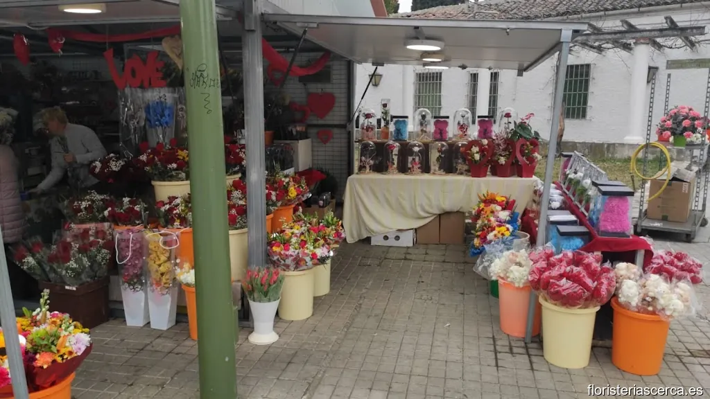 Floristería Floristas Clara