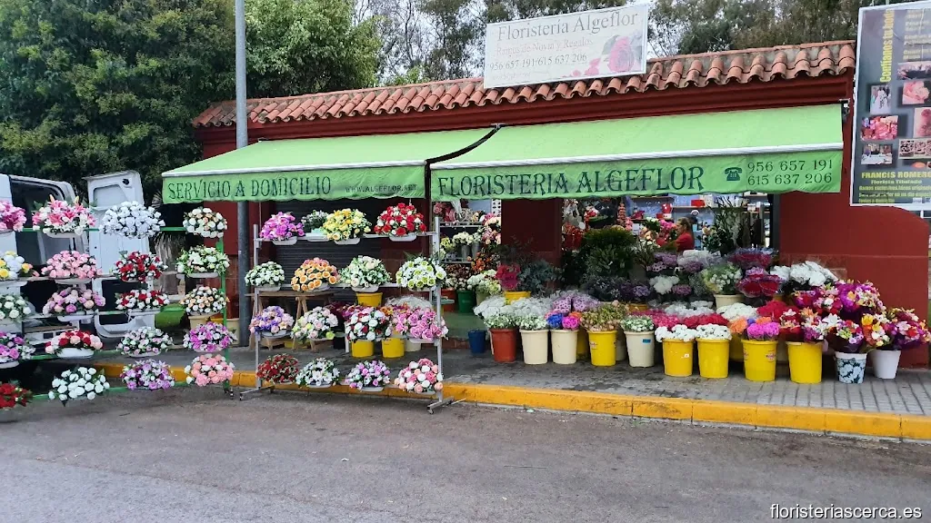 Floristeria Algeflor