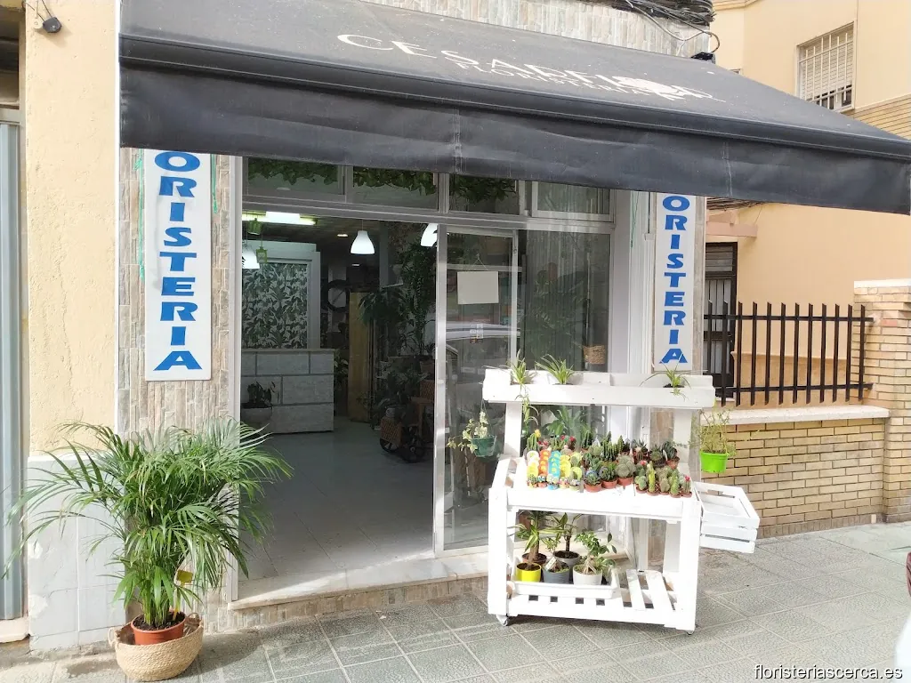 Cesarflor Floristería